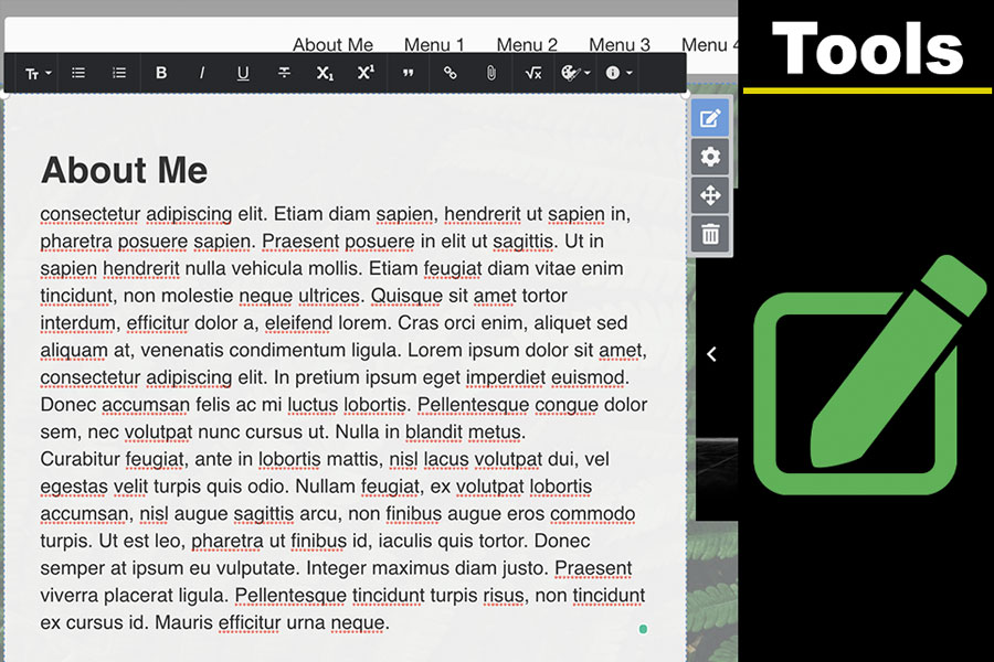 Screenshot displaying text editing tools for changing font style, color, and background within an ePortfolio.