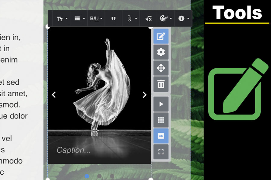Screenshot showing an image selected in an ePortfolio with the caption editing field visible.