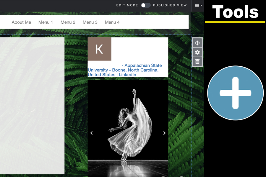 Aportfolio page displaying an embedded LinkedIn profile.