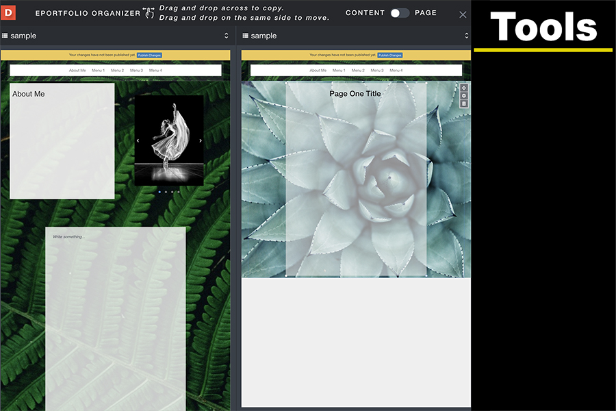 Aportfolio Organize panel showing draggable items between portfolio versions.