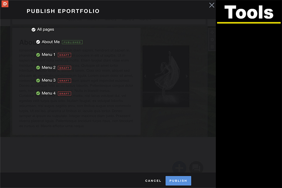 Publish dialog listing portfolio pages with draft or published status and options to publish all pages.
