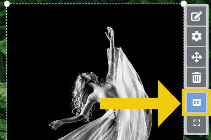 Options bar with the Caption icon highlighted to turn captions on for the image.