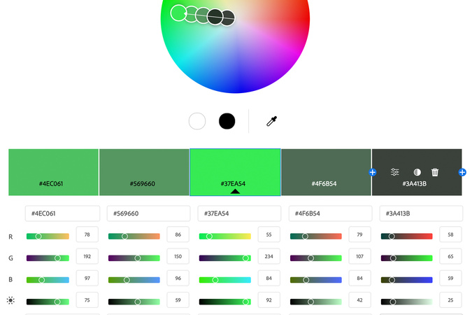 Color wheel with monochromatic palette showing hex codes for copying.