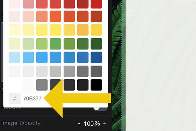 Hex color code pasted into Aportfolio color field with color updated automatically.