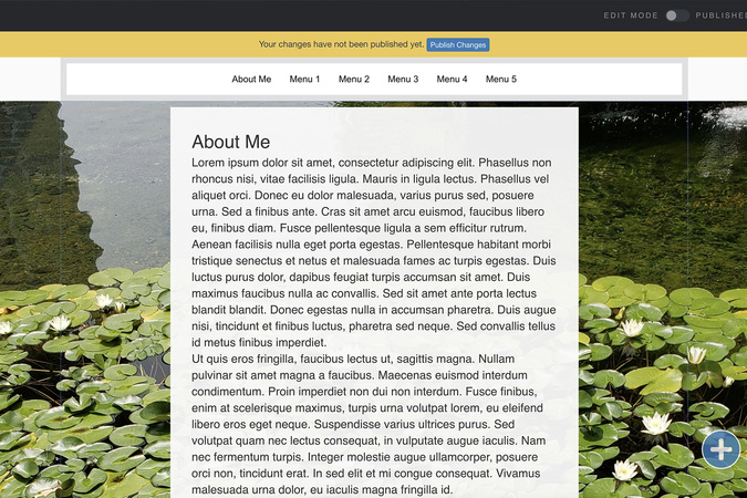 Aportfolio page showing a slide with custom fonts and background styles ready to copy.