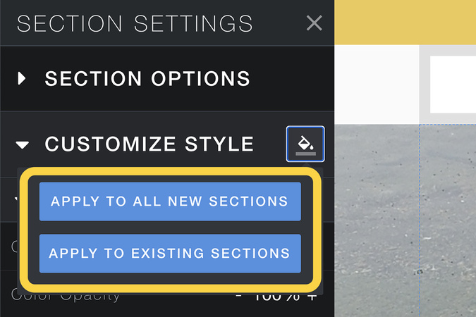 Customize Style panel displaying options to apply styles to existing or new sections.