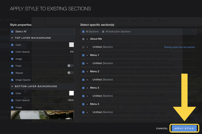 Bottom of Customize Style panel with Apply Style button highlighted.