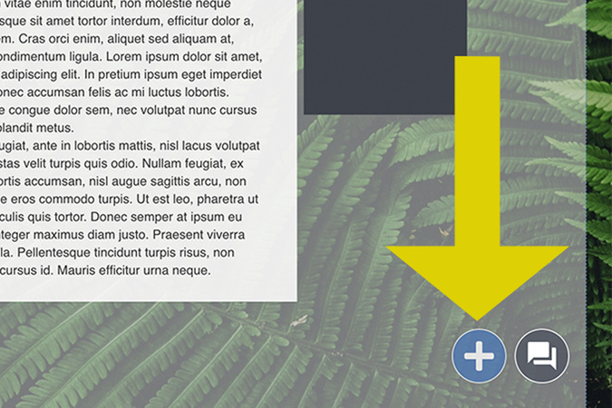 Aportfolio page showing PNG button image being uploaded by drag and drop or file upload.