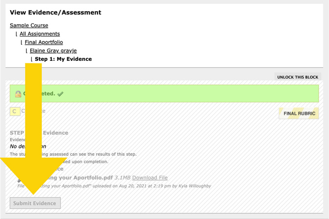 Submit Evidence button selected to open and view the student’s submission details.