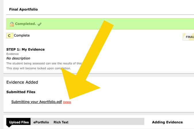 Evidence Added section showing submitted portfolios with options to delete submissions.
