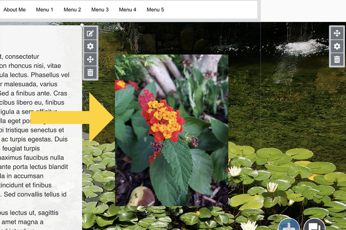 Aportfolio page showing a single image uploaded to begin creating an image gallery.