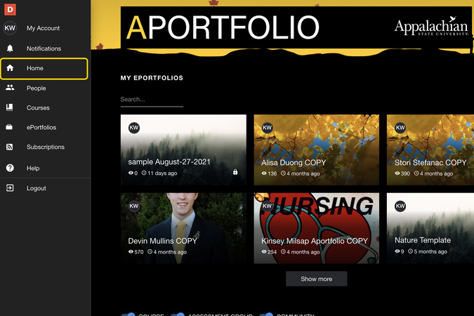 Home button selected returning to the default Aportfolio landing page.
