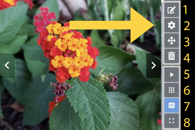 Settings menu selected on image gallery to modify layout and gallery behavior.