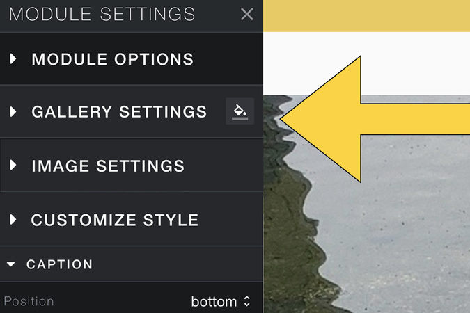 Gallery settings panel displaying options for images, captions, and gallery display styles.”