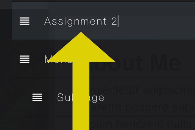 Screenshot showing a page title selected for editing within the navigation list.