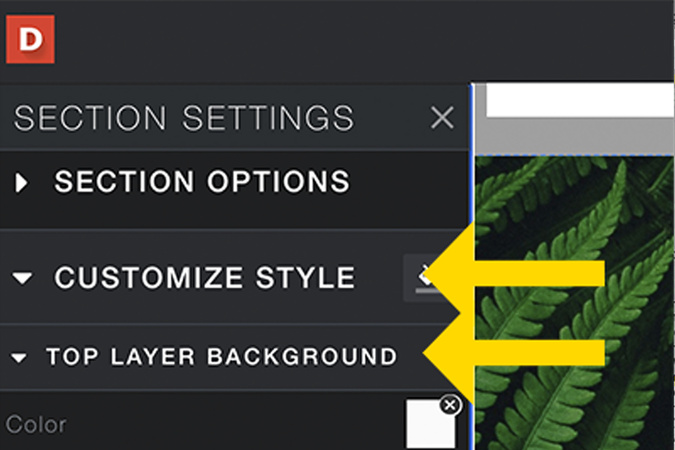 Screenshot of style settings showing Customize Style and Top Layer Background.