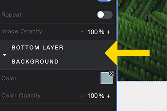 Screenshot of style settings showing Customize Bottom Layer Background.