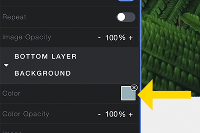 Screenshot highlighting the color selector box used to change bottom layer color.