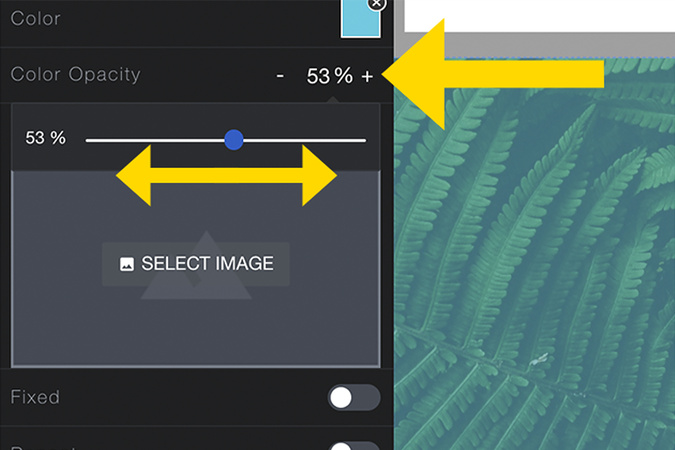 Screenshot showing color opacity controls with slider and percentage adjustment.