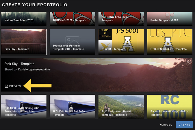 Screenshot showing a preview of the selected Aportfolio template.