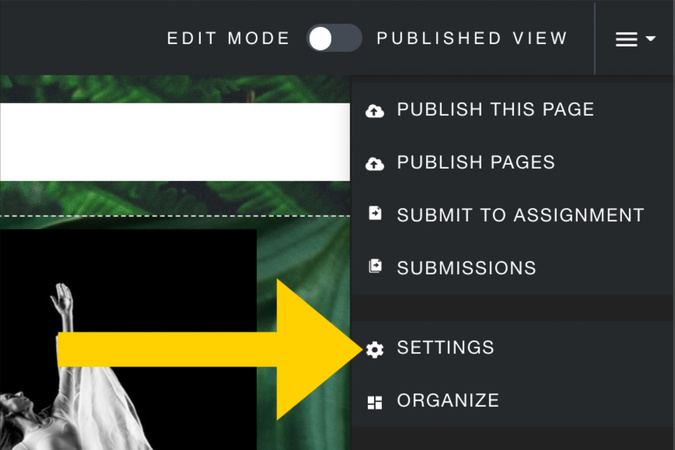 Settings menu opened with the Settings option selected to manage portfolio permissions.