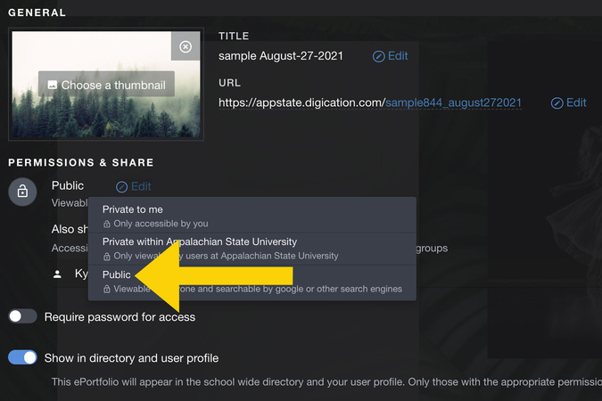 Privacy options displayed with Public selected as the portfolio visibility setting.