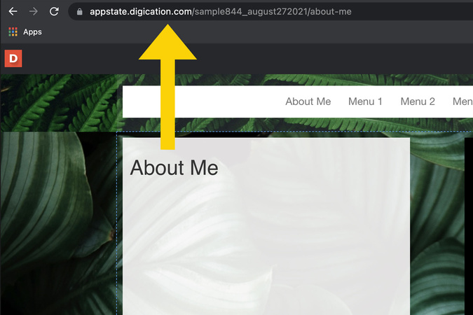 Settings page showing the portfolio URL selected for copying and sharing.