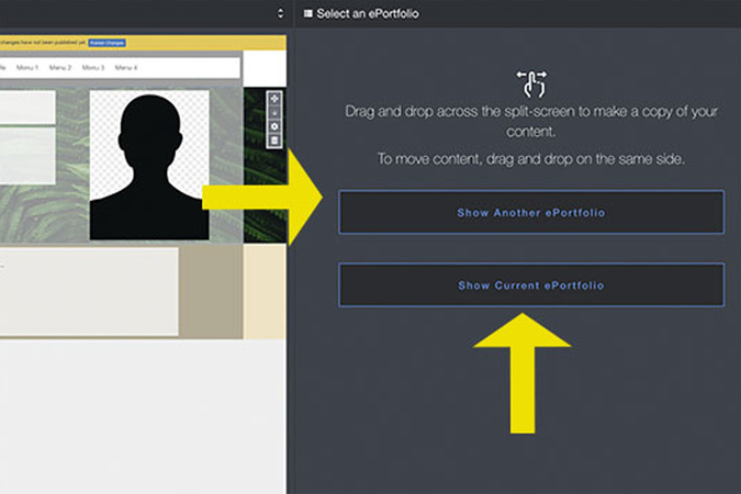 Organize screen with right panel showing options to view current or other ePortfolios.