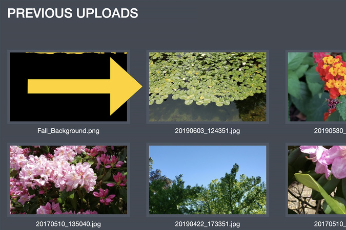 Image library view with a background image selected for the slide.