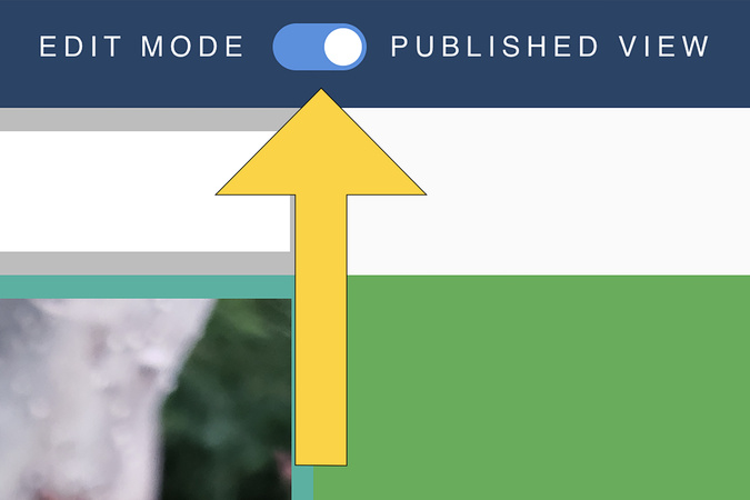 Screenshot highlighting the edit button used to return to editing mode after viewing the published page.