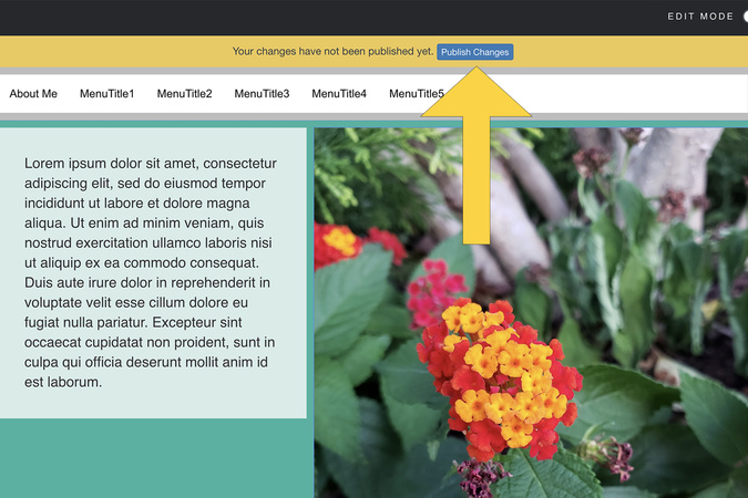 Screenshot showing the yellow bar at the top of the page with the ‘Publish Changes’ button.