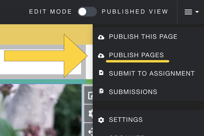 Screenshot highlighting the ‘Publish Pages’ option within the settings menu.