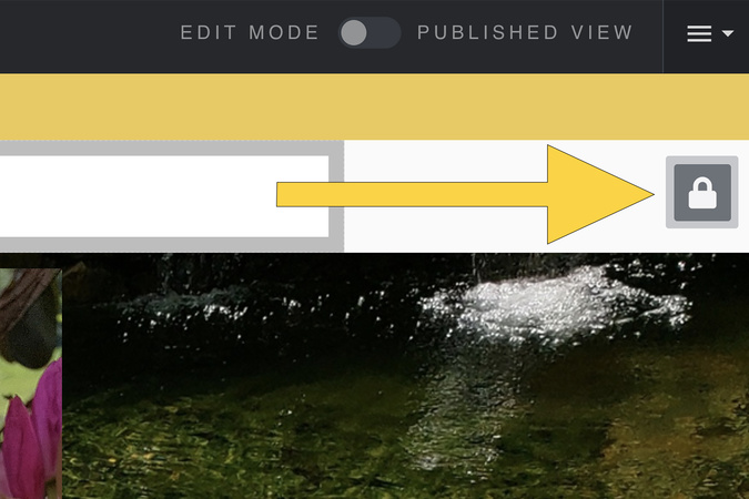 Screenshot showing the header or navigation menu with the lock icon highlighted.