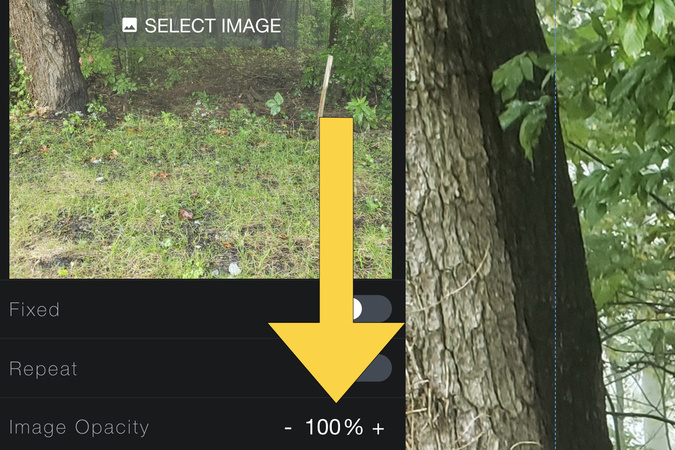 Screenshot showing the bottom layer background image opacity set to 100 percent.