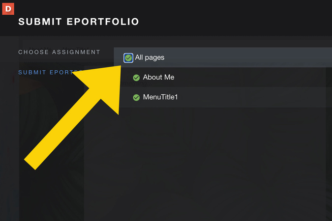 Page selection screen with published pages marked as selected for instructor review.