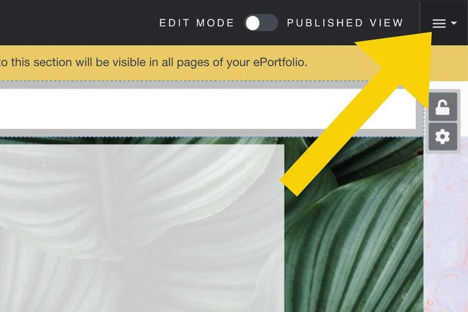Screenshot of the Aportfolio interface showing the settings menu where the submit option is located.