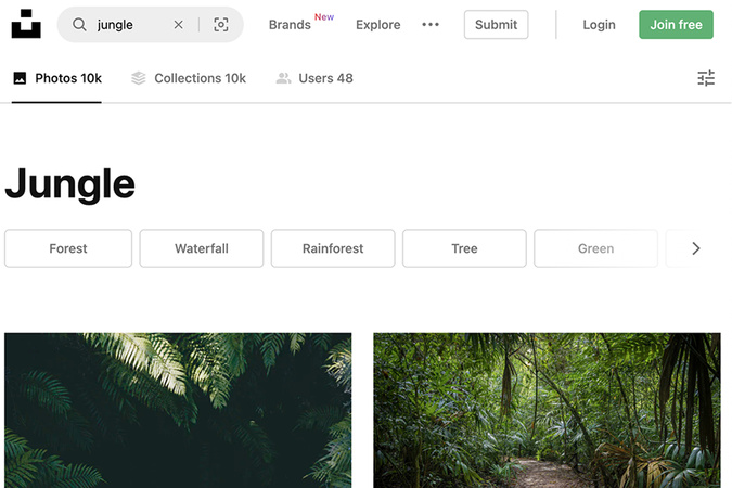Unsplash search results page displaying photos after searching for ‘jungle’ images.