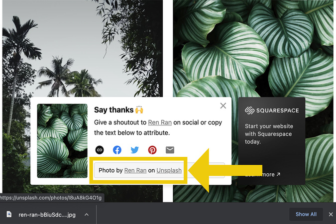 Unsplash download pop‑up showing photographer credit text to copy for citation.