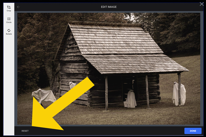 Bottom left of the editor showing the Reset option to undo image changes.