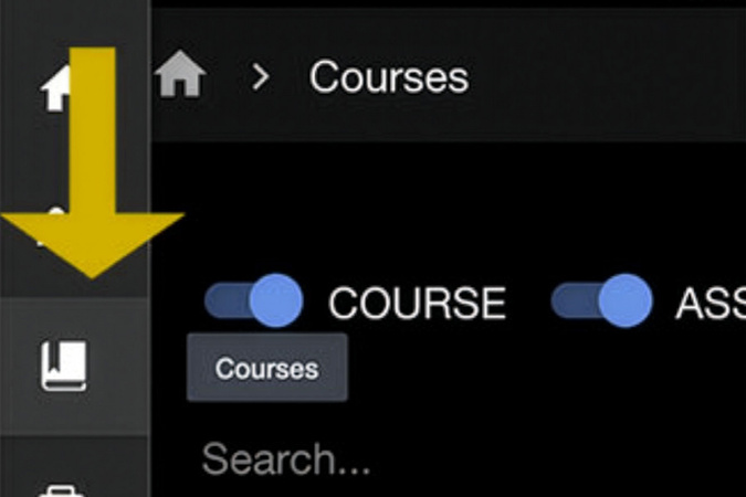 Aportfolio dashboard with the Courses option selected to access enrolled courses.